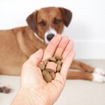 Dog,Dewormer,With,Food,In,Hand,Of,Veterinarian,Or,Owner