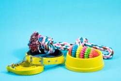Bowl,,Collar,With,Toy,Rope,And,Bite,Rope,For,Blue