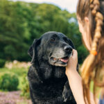 Shot,Of,A,Girl,With,Her,Senior,Black,Labrador