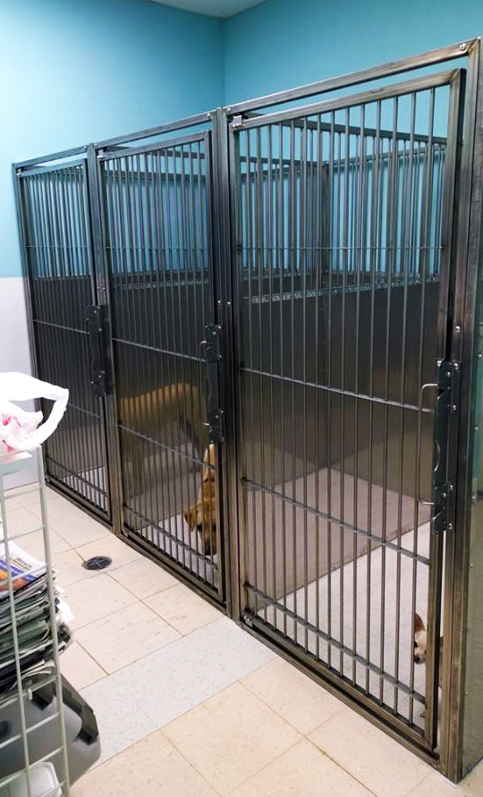 how much money do dog kennels make